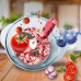 Універсальний електричний подрібнювач для продуктів 1000 Вт RAF кухонний блендер з нержавіючої чашею 1,7л