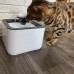 Фонтан поилка с пятью сменными фильтрами Pet Water FOUNTAIN для собак и котов автоматическая