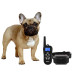 Нашийник для дресирування та корекції поведінки собак Dog Training PR5