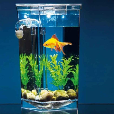 Акваріум міні з системою самоочищення з LED підсвічуванням 2 л My Fun Fish акваріумний набір