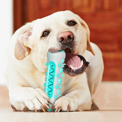 Гумова кісточка для собак Tooth brush dog Жувальна іграшка для чищення зубів та ясен
