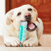 Гумова кісточка для собак Tooth brush dog Жувальна іграшка для чищення зубів та ясен