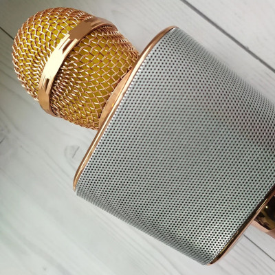 Мікрофон караоке для дітей бездротовий USB Bluetooth Іграшка мікрофон з колонкою Wster WS-1688 Золотий Gold