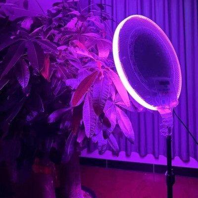 Кругла світлодіодна лампа 33см RGB-LED Fill Light GS-330 кольорова з пультом та штативом 2м для фото та відео