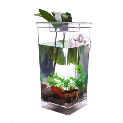 Акваріум міні з системою самоочищення з LED підсвічуванням 2 л My Fun Fish акваріумний набір