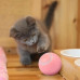 Інтерактивний м'ячик для котів та маленьких собак Gravitational Rolling Ball Обертова смарт іграшка