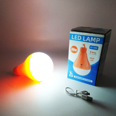 Лампа акумуляторна світлодіодна LY V09 підвісний LED світильник з гачком для кемпінгу та будинку