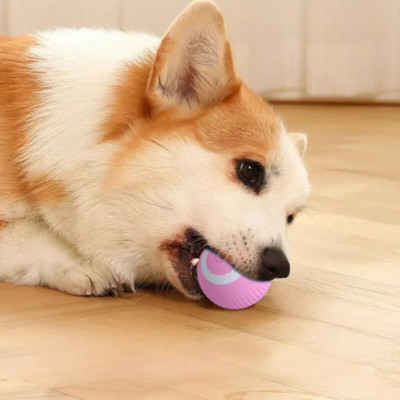 Інтерактивний м'ячик для котів та маленьких собак Gravitational Rolling Ball Обертова смарт іграшка