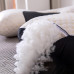 Ортопедична подушка Pillow01 для здорового сну Ергономічна подушка анатомічної форми для шиї