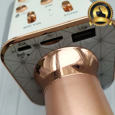 Мікрофон караоке для дітей бездротовий USB Bluetooth Іграшка мікрофон з колонкою Wster WS-1688 Рожевий Rose